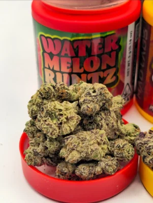 mad labs watermelon runtz flower