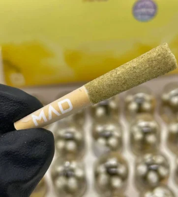mad labs minis mango dream