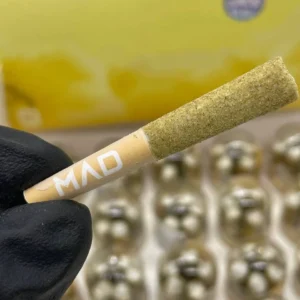 mad labs minis mango dream